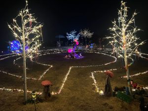 Whirl-y-Fayre 2026 (34)