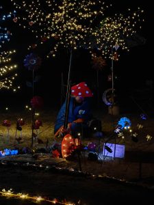 Whirl-y-Fayre 2026 (88)